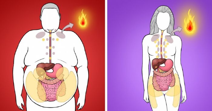 Hogyan lehet elégetni a felesleges zsírt a testben - elszivoernyobolt.hu