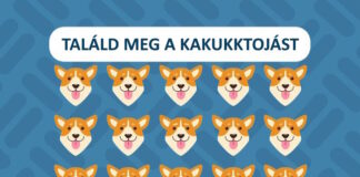 Gyors gondolkodás teszt: Találd meg a nem odavalót 20 másodperc alatt