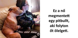 31 állatfotó, ami még a legfagyosabb napon is megmelenget