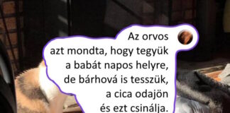 26 szívmelengető fotó, ami bizonyítja, hogy a boldogság olyasvalami, amit építesz, nem pedig csak megtalálsz